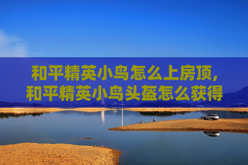 和平精英小鸟怎么上房顶,和平精英小鸟头盔怎么获得