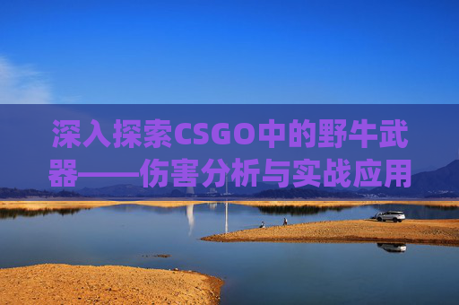 深入探索CSGO中的野牛武器——伤害分析与实战应用,csgo野牛多少金币