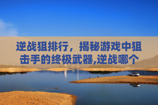 逆战狙排行，揭秘游戏中狙击手的终极武器,逆战哪个图练狙最好