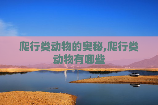 爬行类动物的奥秘,爬行类动物有哪些