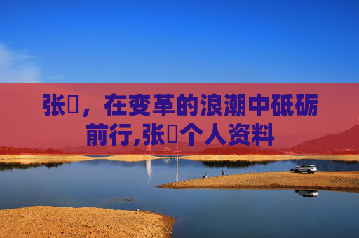 张堃，在变革的浪潮中砥砺前行,张堃个人资料