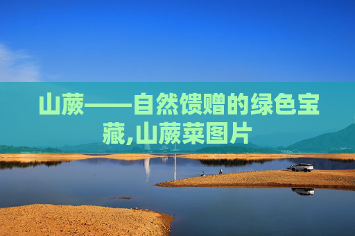 山蕨——自然馈赠的绿色宝藏,山蕨菜图片