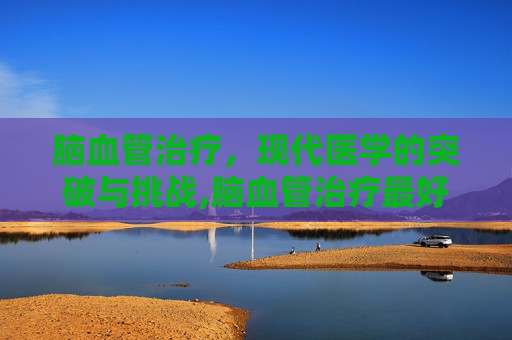 脑血管治疗，现代医学的突破与挑战,脑血管治疗最好的医院排名