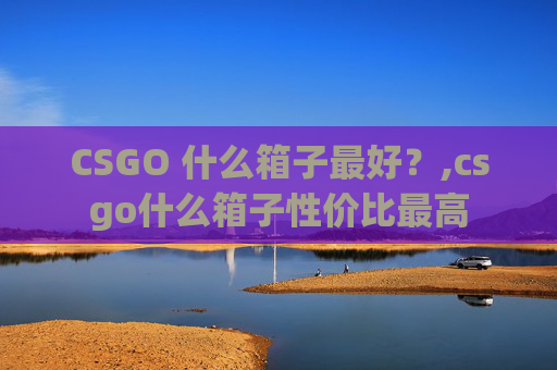 CSGO 什么箱子最好？,csgo什么箱子性价比最高