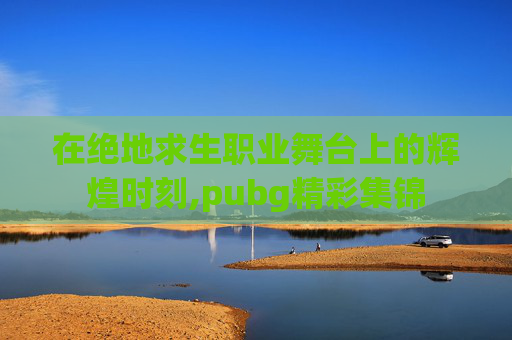 在绝地求生职业舞台上的辉煌时刻,pubg精彩集锦