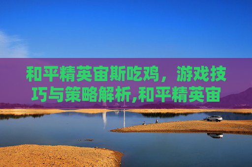 和平精英宙斯吃鸡，游戏技巧与策略解析,和平精英宙斯的皮肤