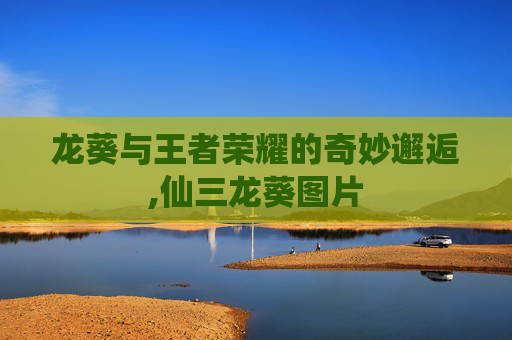 龙葵与王者荣耀的奇妙邂逅,仙三龙葵图片