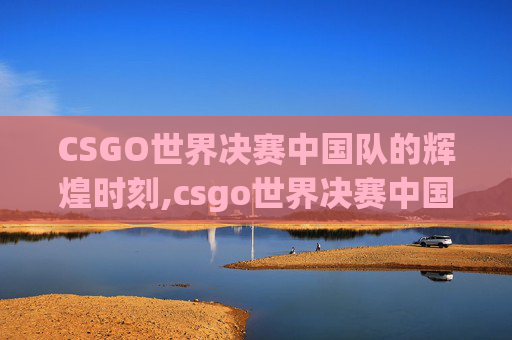 CSGO世界决赛中国队的辉煌时刻,csgo世界决赛中国队参加了吗