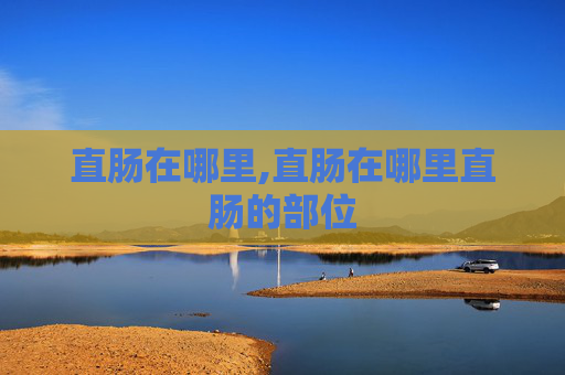 直肠在哪里,直肠在哪里直肠的部位