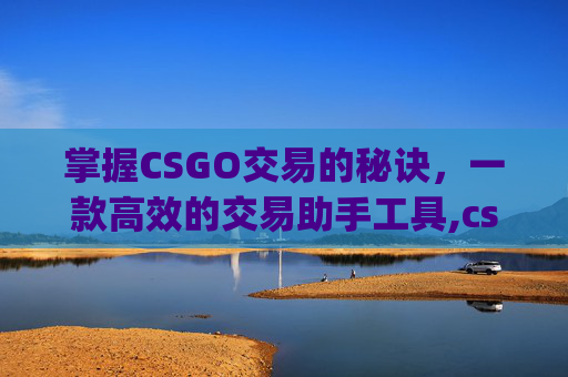 掌握CSGO交易的秘诀，一款高效的交易助手工具,csgo手机助手