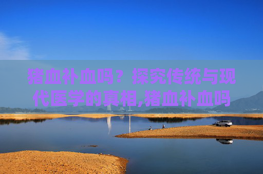 猪血补血吗？探究传统与现代医学的真相,猪血补血吗是真的吗