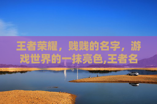 王者荣耀，贱贱的名字，游戏世界的一抹亮色,王者名字贱贱的男生
