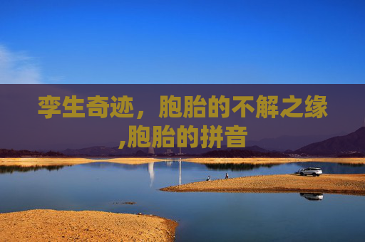 孪生奇迹，胞胎的不解之缘,胞胎的拼音