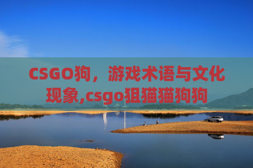 CSGO狗，游戏术语与文化现象,csgo狙猫猫狗狗