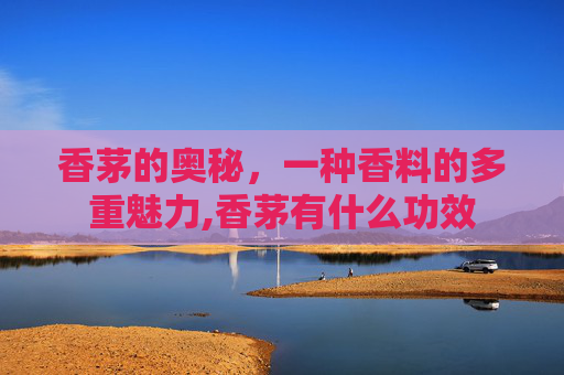 香茅的奥秘，一种香料的多重魅力,香茅有什么功效