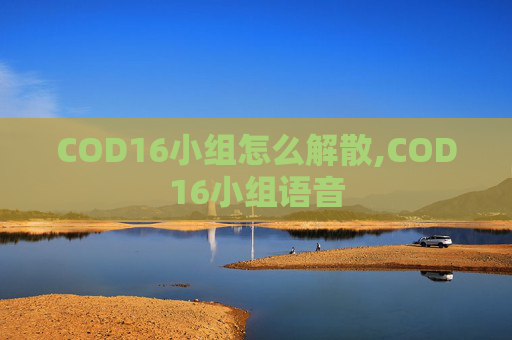 COD16小组怎么解散,COD16小组语音