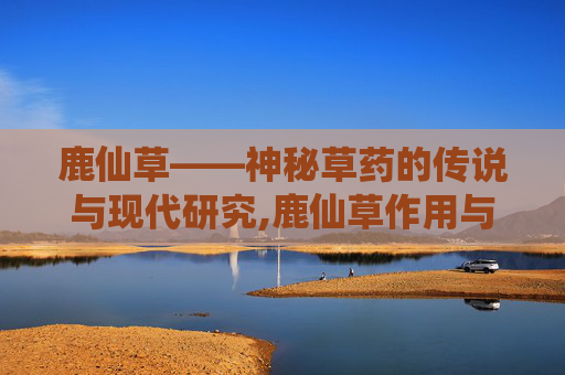 鹿仙草——神秘草药的传说与现代研究,鹿仙草作用与功效