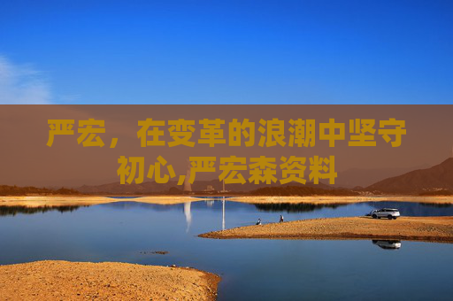 严宏，在变革的浪潮中坚守初心,严宏森资料