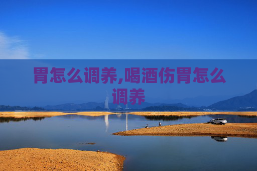 胃怎么调养,喝酒伤胃怎么调养