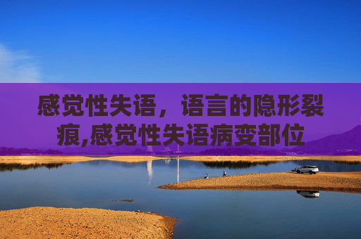 感觉性失语，语言的隐形裂痕,感觉性失语病变部位