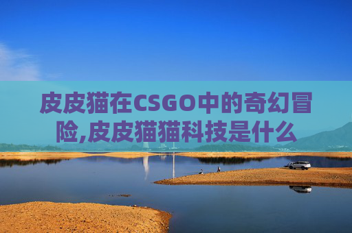 皮皮猫在CSGO中的奇幻冒险,皮皮猫猫科技是什么