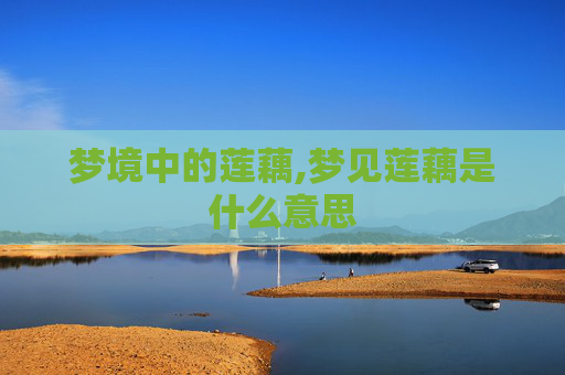 梦境中的莲藕,梦见莲藕是什么意思