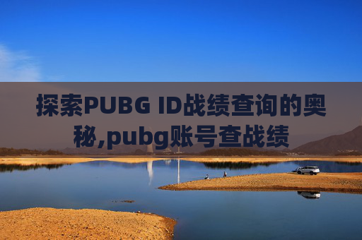 探索PUBG ID战绩查询的奥秘,pubg账号查战绩