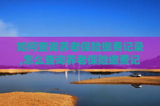 如何查询养老保险缴费记录,怎么查询养老保险缴费记录明细
