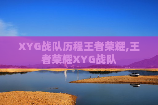 XYG战队历程王者荣耀,王者荣耀XYG战队