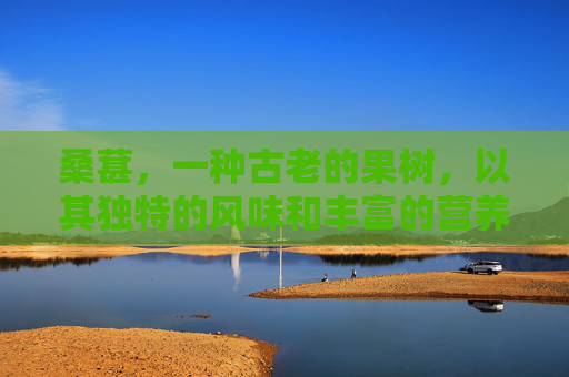 桑葚，一种古老的果树，以其独特的风味和丰富的营养价值而闻名。桑葚不仅是一种美味的水果，还具有多种健康益处。本文将详细介绍桑葚是什么，以及它如何为人们带来健康和快乐。,桑葚是什么颜色