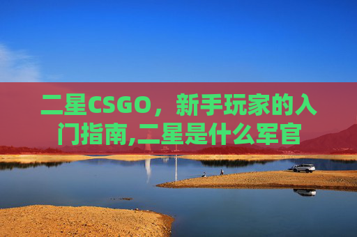 二星CSGO，新手玩家的入门指南,二星是什么军官