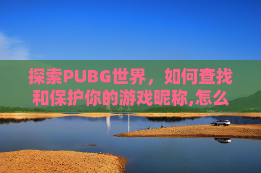 探索PUBG世界，如何查找和保护你的游戏昵称,怎么查PUBG的名字