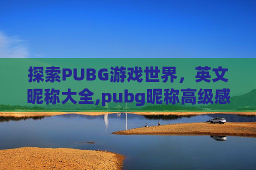 探索PUBG游戏世界，英文昵称大全,pubg昵称高级感英文
