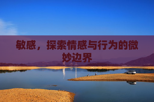 敏感，探索情感与行为的微妙边界