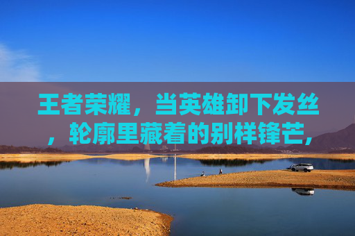 王者荣耀，当英雄卸下发丝，轮廓里藏着的别样锋芒,王者荣耀英雄只有头的照片
