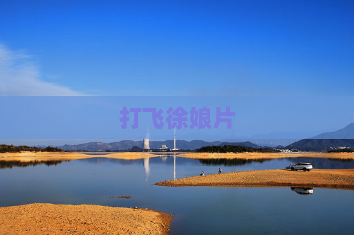 打飞徐娘片
