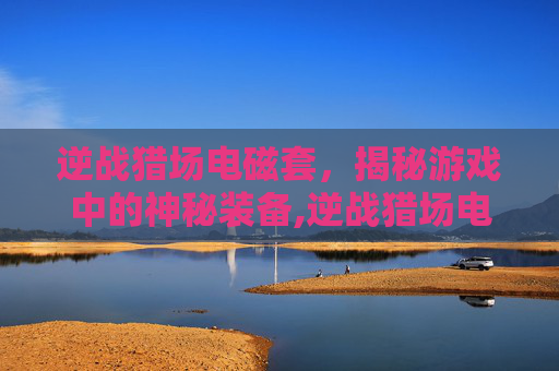 逆战猎场电磁套，揭秘游戏中的神秘装备,逆战猎场电磁套有什么用