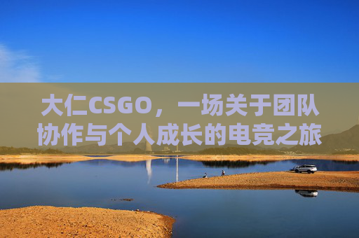 大仁CSGO，一场关于团队协作与个人成长的电竞之旅,大仁不仁