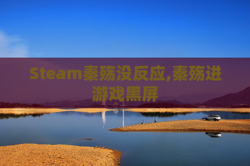 Steam秦殇没反应,秦殇进游戏黑屏