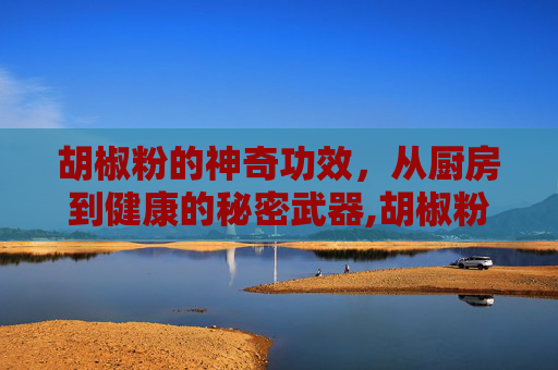 胡椒粉的神奇功效，从厨房到健康的秘密武器,胡椒粉的功效与禁忌