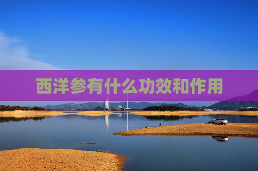 西洋参有什么功效和作用