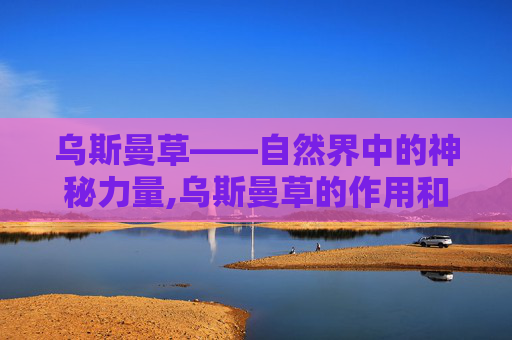 乌斯曼草——自然界中的神秘力量,乌斯曼草的作用和功效