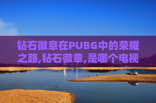 钻石徽章在PUBG中的荣耀之路,钻石徽章,是哪个电视剧里的名字