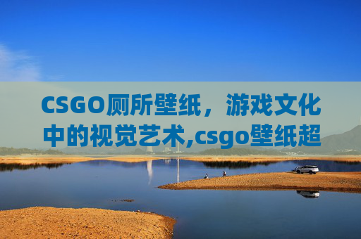 CSGO厕所壁纸，游戏文化中的视觉艺术,csgo壁纸超清