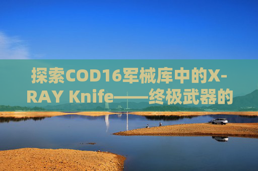 探索COD16军械库中的X-RAY Knife——终极武器的奥秘,cod16军械库是灰的
