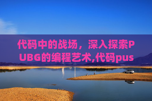 代码中的战场，深入探索PUBG的编程艺术,代码push