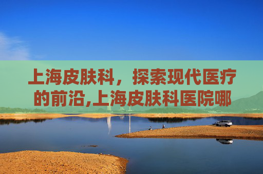 上海皮肤科，探索现代医疗的前沿,上海皮肤科医院哪个医院最好