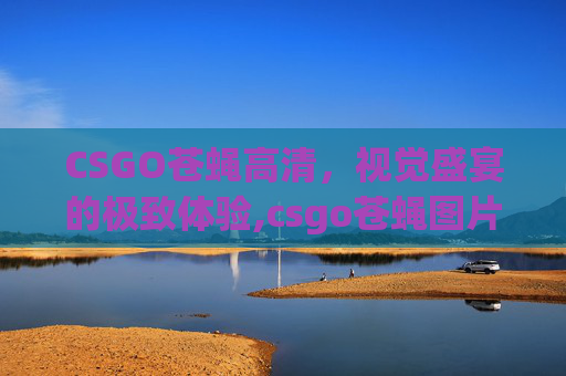 CSGO苍蝇高清，视觉盛宴的极致体验,csgo苍蝇图片