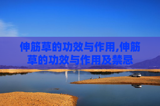 伸筋草的功效与作用,伸筋草的功效与作用及禁忌