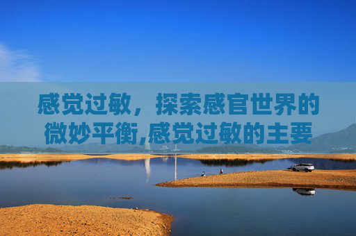 感觉过敏，探索感官世界的微妙平衡,感觉过敏的主要表现